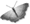 Zwierzęta i rośliny